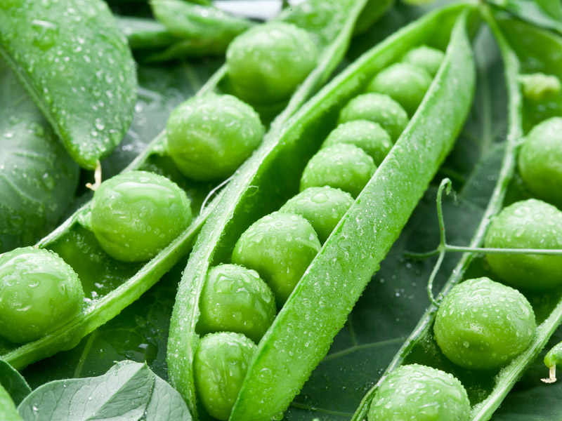 farm_produce